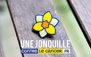 Une jonquille contre le cancer