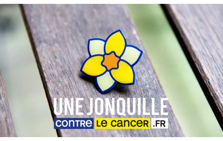 Une jonquille contre le cancer
